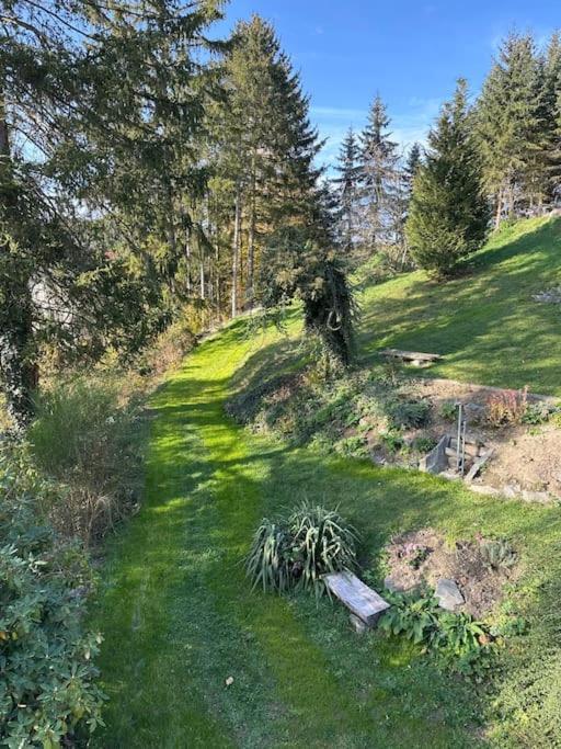 Exclusiv Im Erzgebirge Apartment Amtsberg Bagian luar foto
